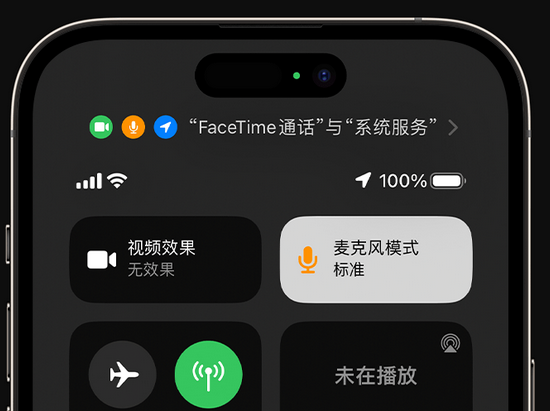 郯城苹果授权维修网点分享iPhone在通话时让你的声音更清晰 