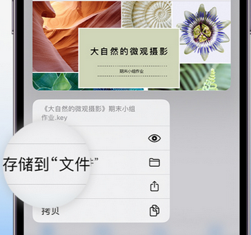 郯城apple维修中心分享iPhone文件应用中存储和找到下载文件