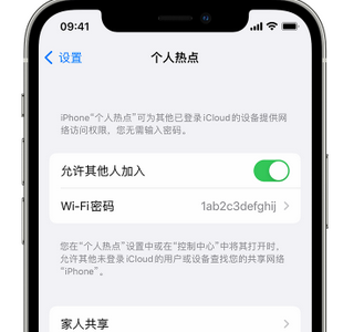 郯城apple服务站点分享iPhone上个人热点丢失了怎么办 