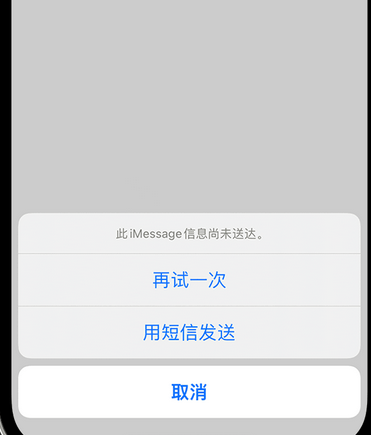 郯城apple维修iPhone上无法正常发送iMessage信息