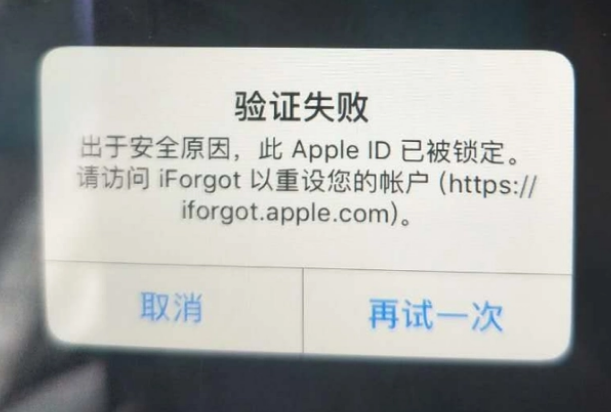 郯城iPhone维修分享iPhone上正常登录或使用AppleID怎么办 