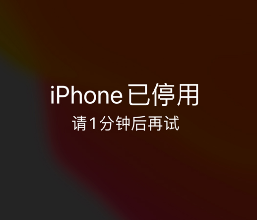 郯城苹果手机维修分享:iPhone 显示“不可用”或“已停用”怎么办？还能保留数据吗？ 