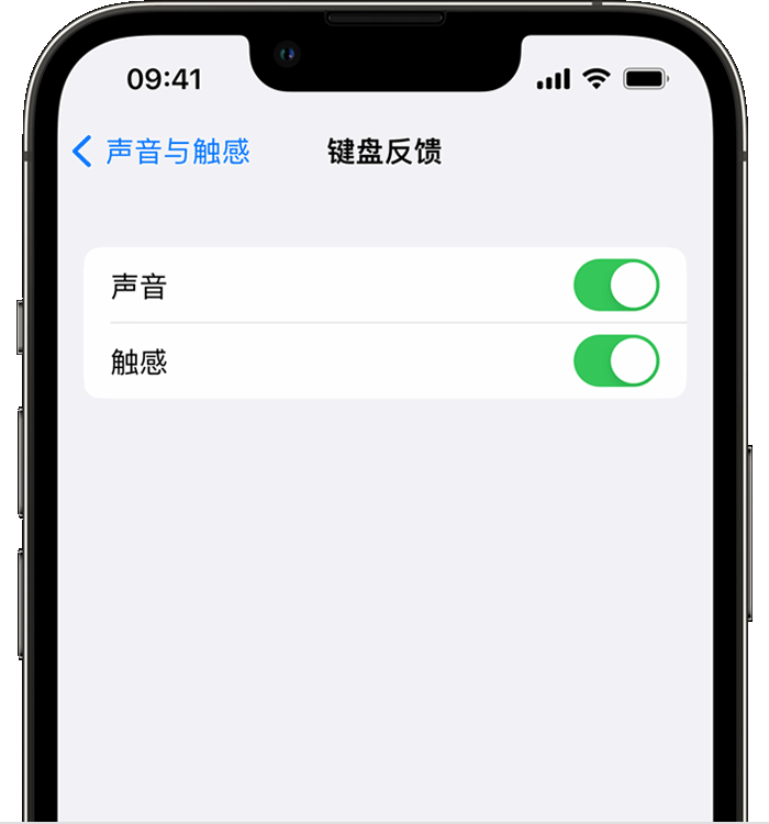 郯城苹果14维修店分享如何在 iPhone 14 机型中使用触感键盘 