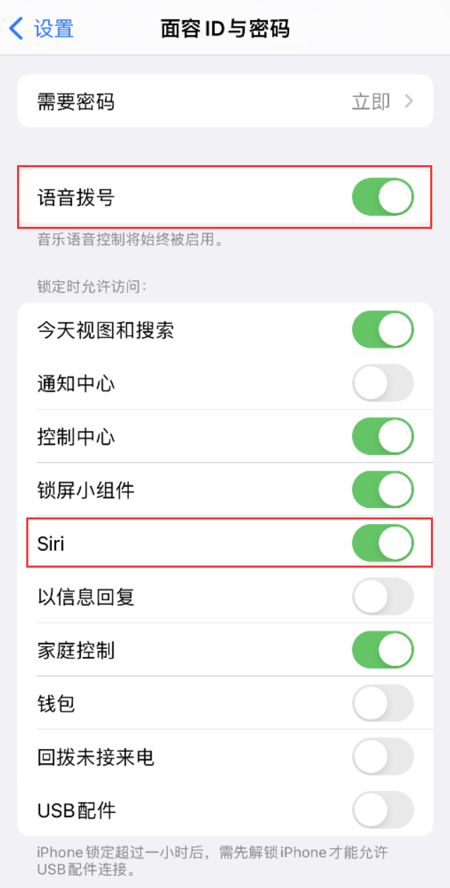 郯城苹果维修网点分享不解锁 iPhone 的情况下通过 Siri 拨打电话的方法 