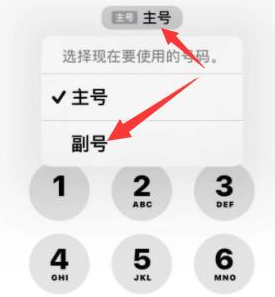 郯城苹果14维修店分享iPhone 14 Pro Max使用副卡打电话的方法 