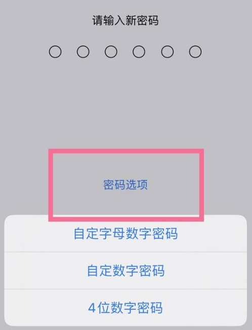 郯城苹果14维修分享iPhone 14plus设置密码的方法 