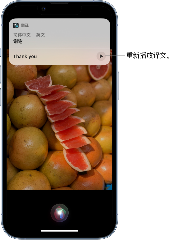 郯城苹果14维修分享 iPhone 14 机型中使用 Siri：了解 Siri 能帮你做什么 