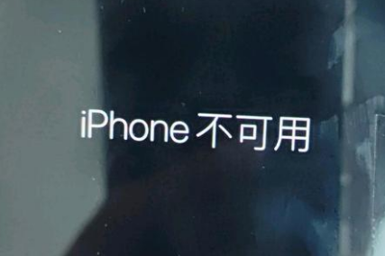 郯城苹果服务网点分享锁屏界面显示“iPhone 不可用”如何解决 