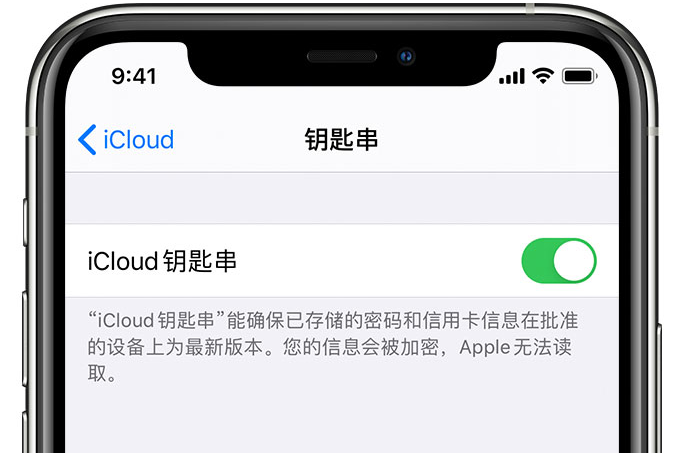 郯城苹果手机维修分享在 iPhone 上开启 iCloud 钥匙串之后会储存哪些信息 